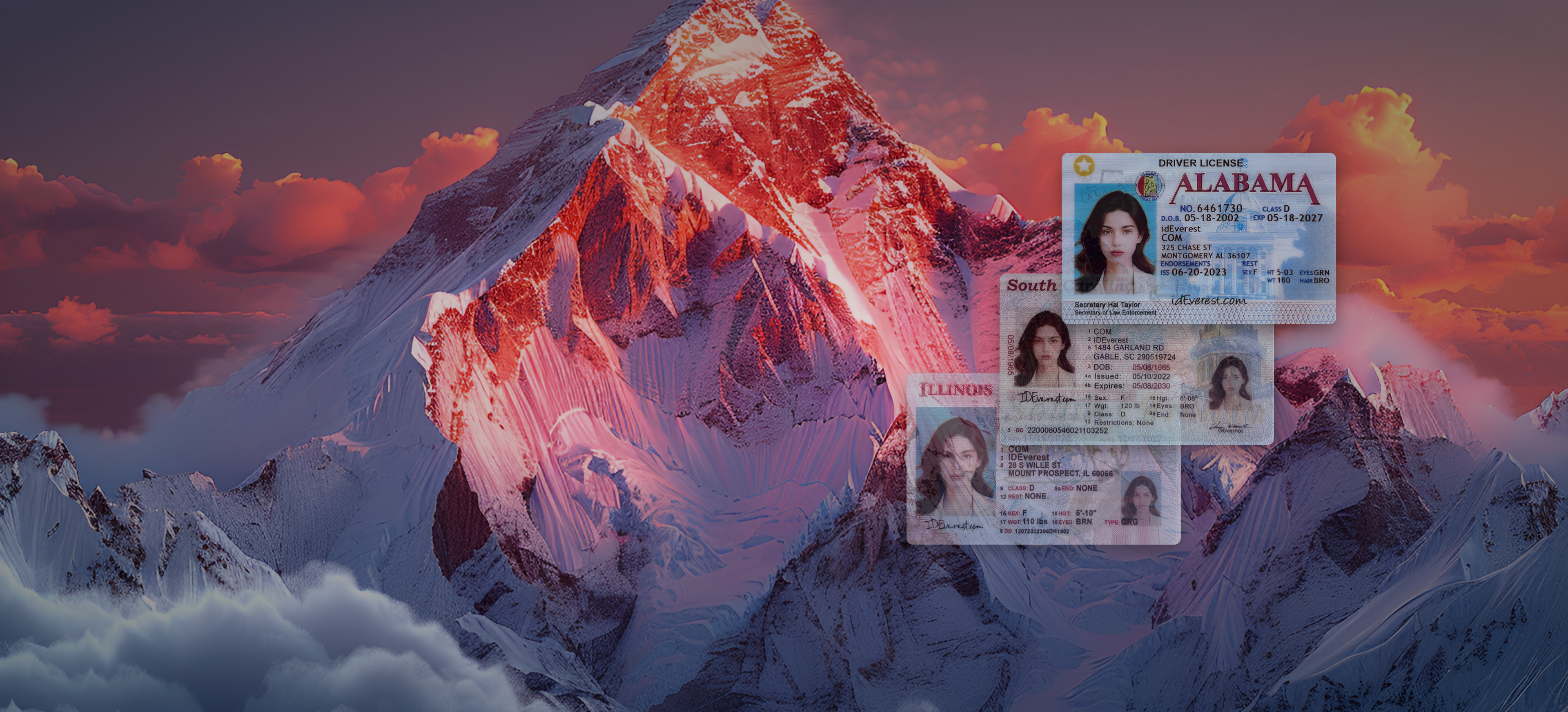 Elevate Your Lifestyle: Find Premium USA Fake ID Cards at ideverest