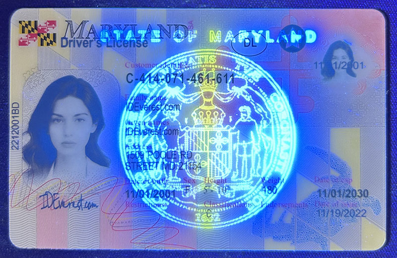 Where can I buy a fake ID and how can I tell its quality?