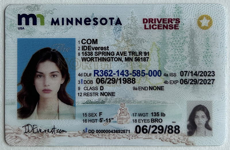 Unlock Authentic Experiences with ideverest's Minnesota Fake ID Cards