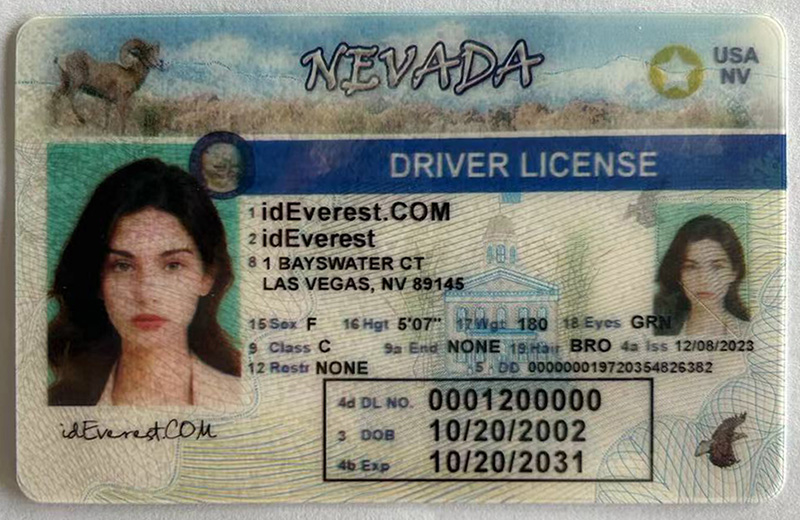 Nevada Fake ID - Buy Fake ID |