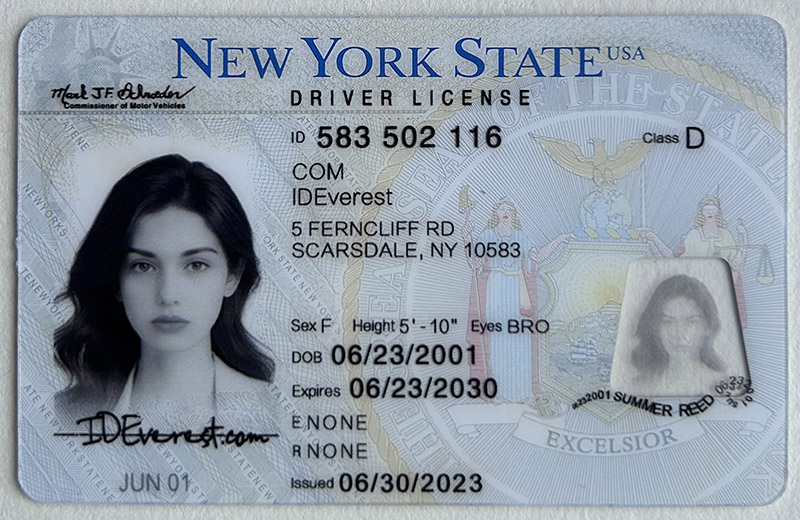 Explore the world of fake IDs: Uncover the secrets of ideverest's top-notch fake IDs in New York