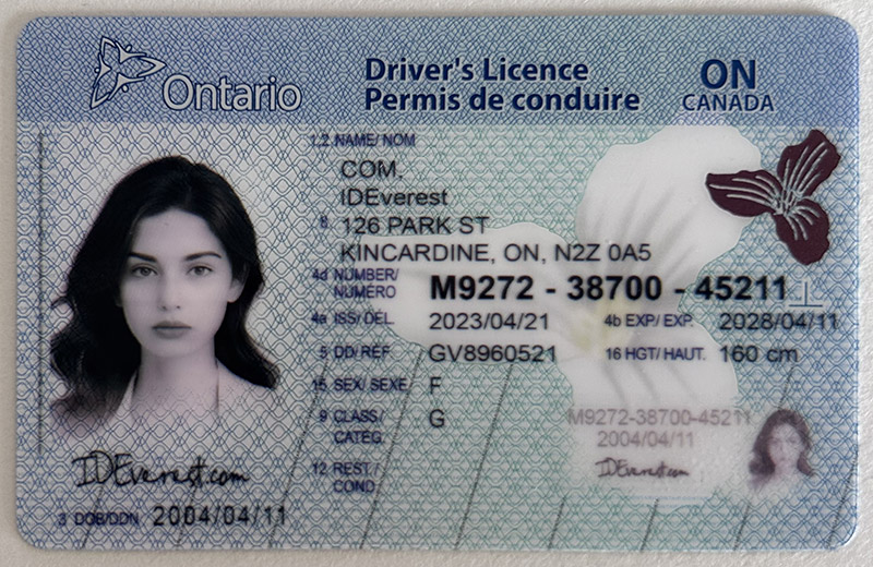 Real Card Scan Ontario Fake ID