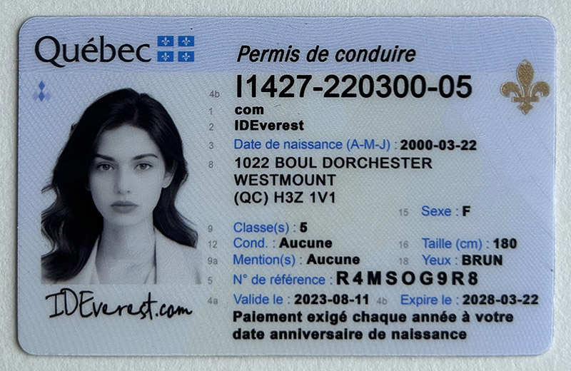 Scannable Fake Quebec Driver's License