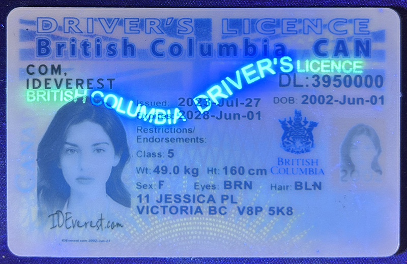 Get a scannable fake driver's license