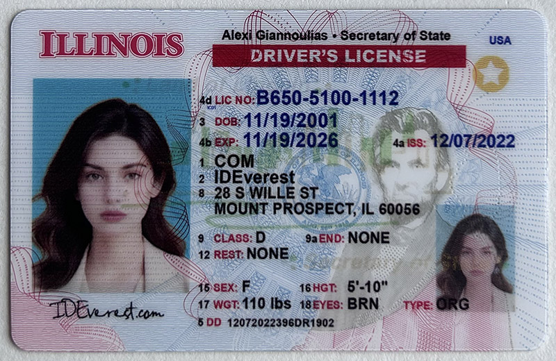 Buying a Quality Illinois Fake ID from ideverest: The Ultimate Guide