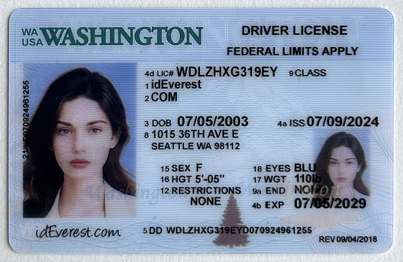 How Fake IDs Are Made: Understanding the Technology Behind the Craft